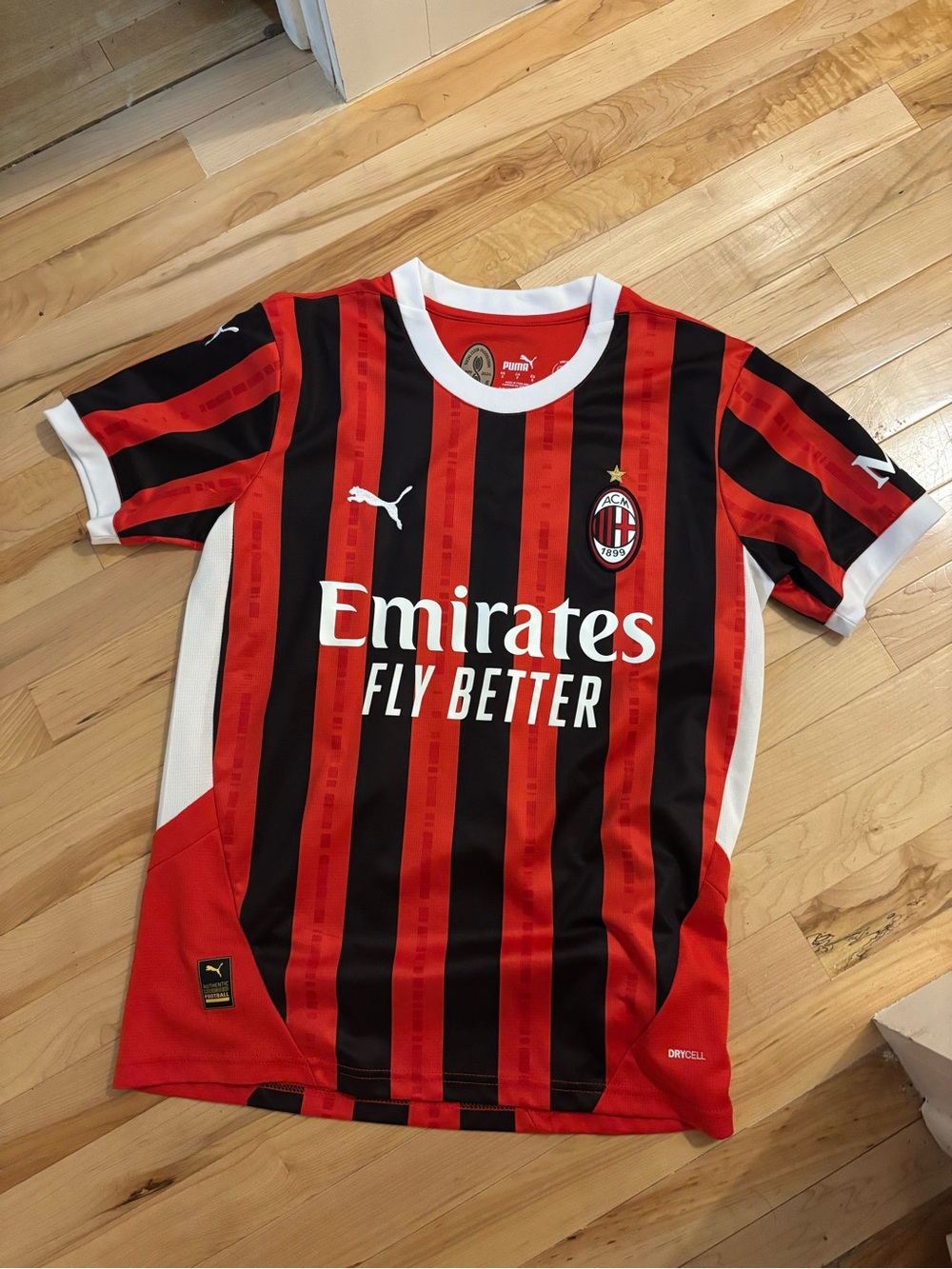 Christian Pulisic #11 AC Milan